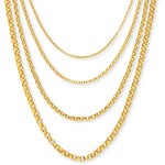 9ct Yellow Gold - Brooklyn Belcher - Chain Roll