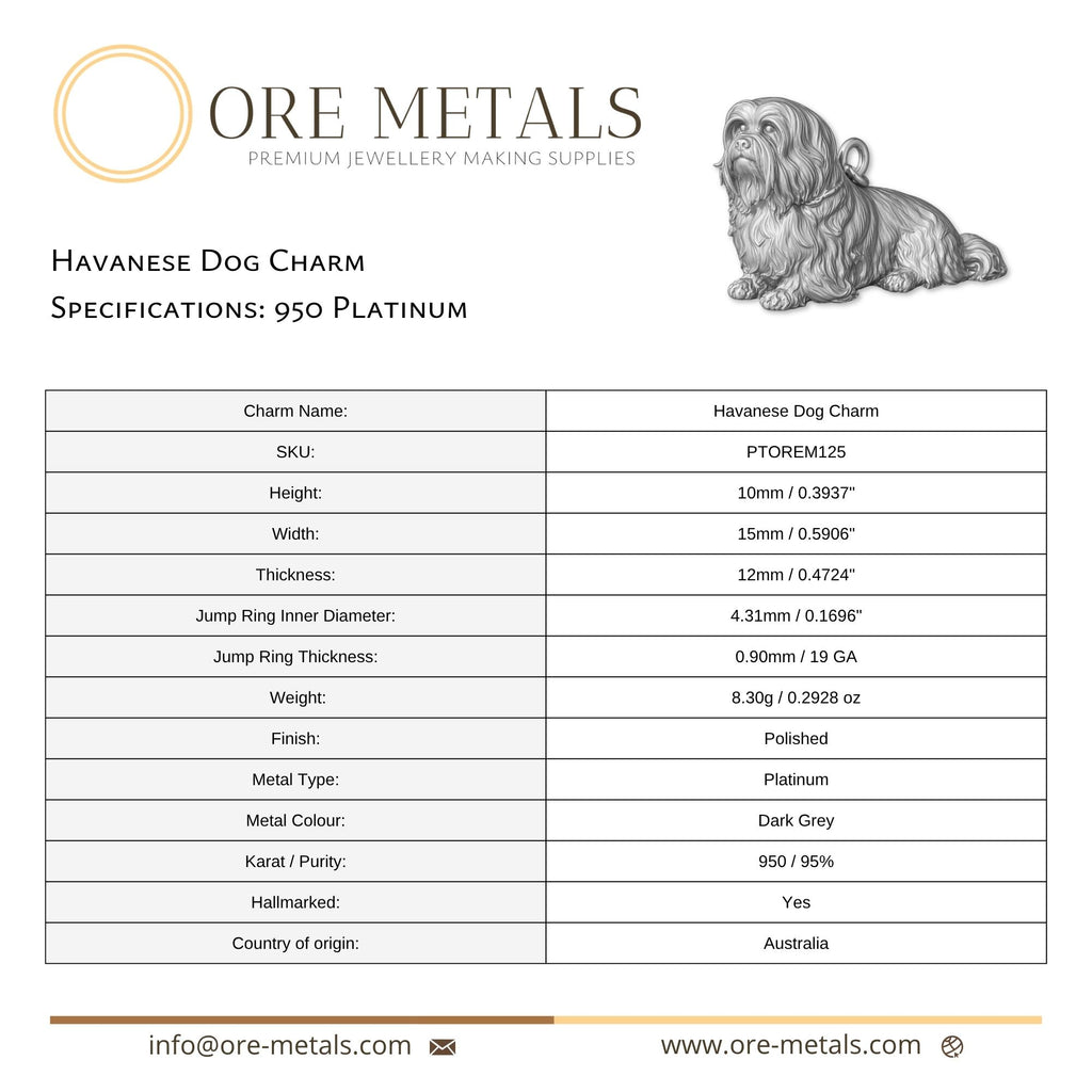 950 Platinum - Havanese Dog Charm