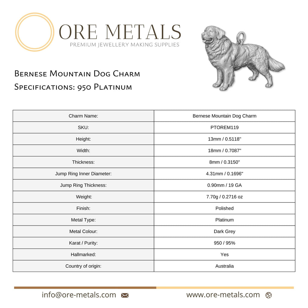 950 Platinum - Bernese Mountain Dog Charm