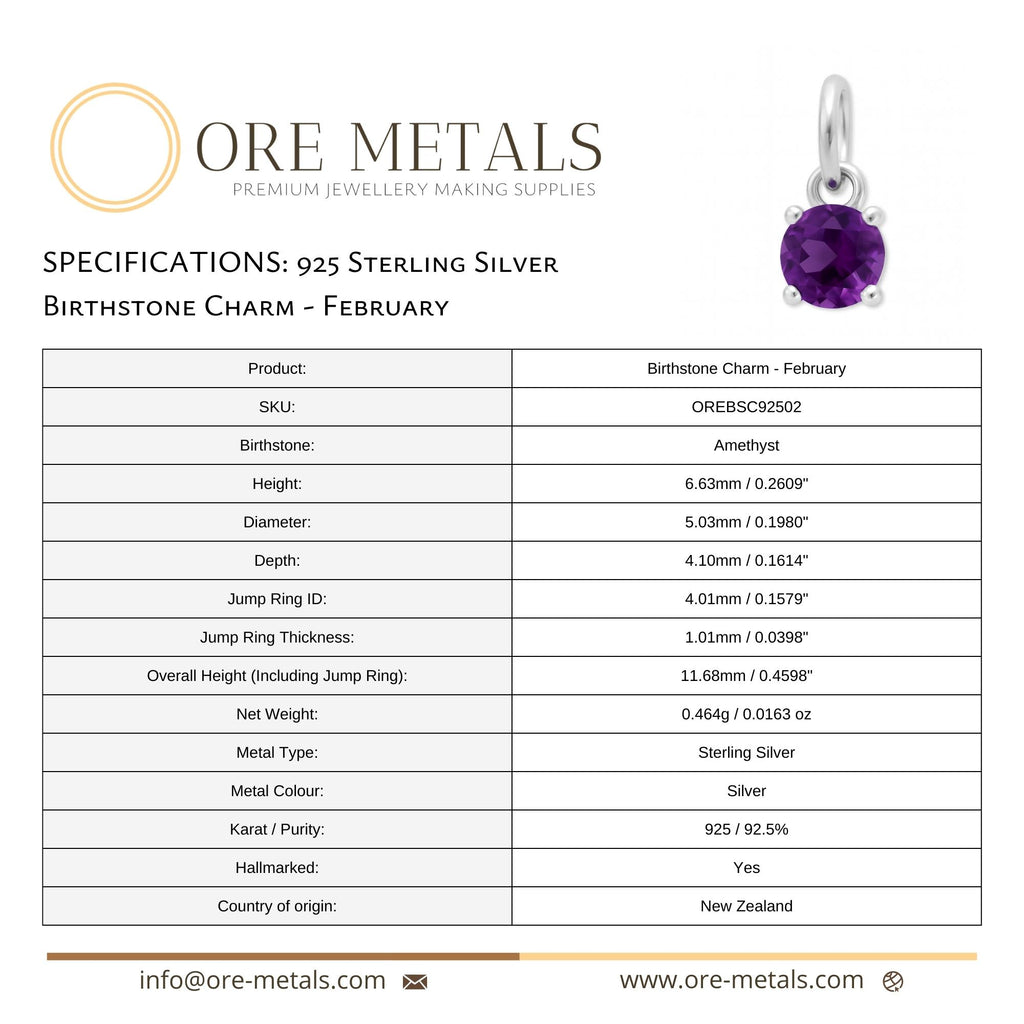 925 Sterling Silver | Amethyst - February Birthstone Charm