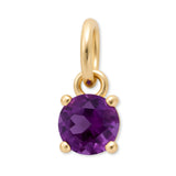 9ct Yellow Gold | Amethyst - February Birthstone Charm