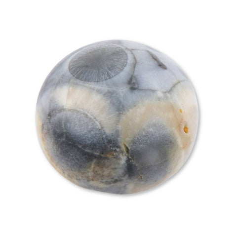 Birds Eye Jasper - Round Cabochon