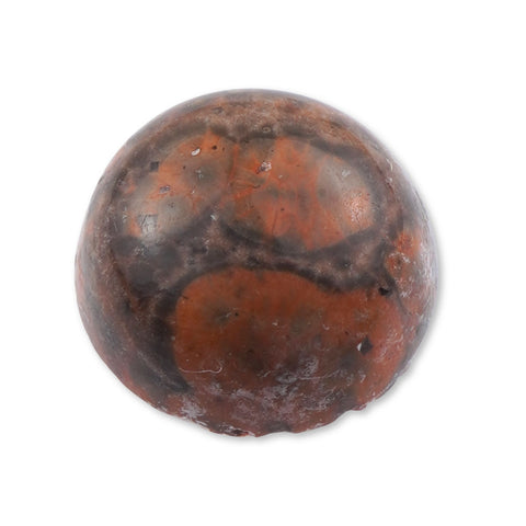 Birds Eye Rhyolite - Round Cabochon