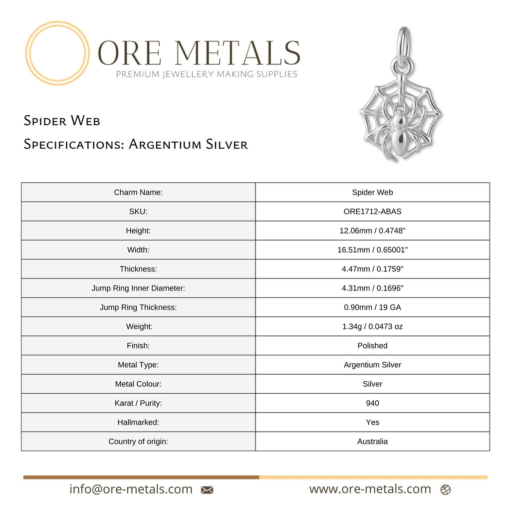 940 Argentium Silver - Spider Web Charm