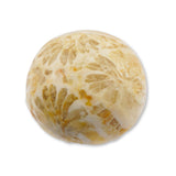 Coral - Round Cabochon