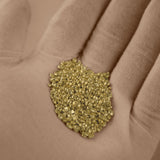 18ct Yellow Gold - Casting Grain