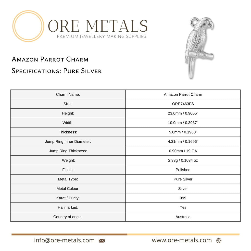 999 Pure Silver - Amazon Parrot Charm