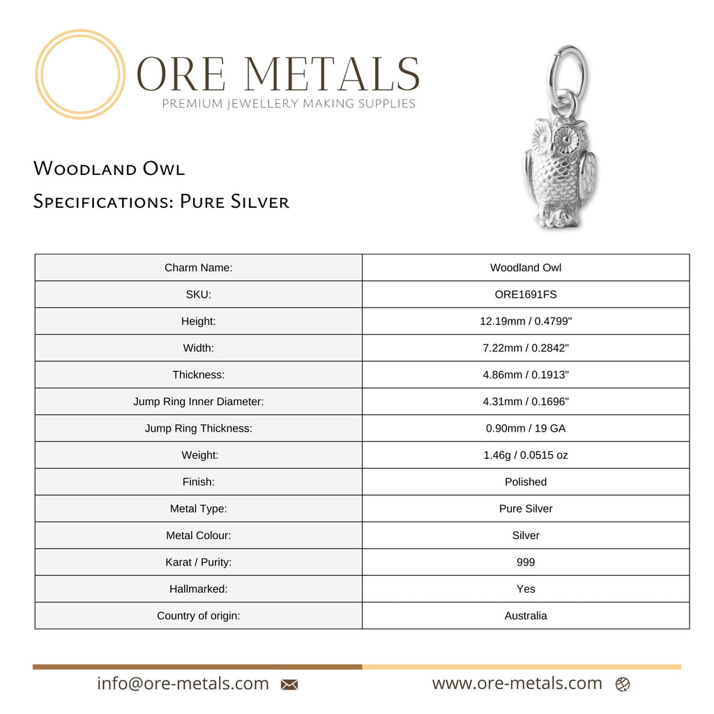 999 Pure Silver - Woodland Owl Charm