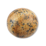 Picture Jasper - Round Cabochon