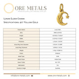 9ct Yellow Gold - Lunar Elder Charm