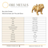 9ct Yellow Gold - Bulldog Charm