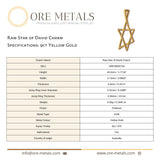 9ct Yellow Gold - Raw Star of David Charm