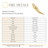 9ct Yellow Gold - Cornicello Charm