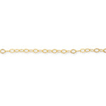 14ct Gold Filled - Bevelled Oval - Chain Roll