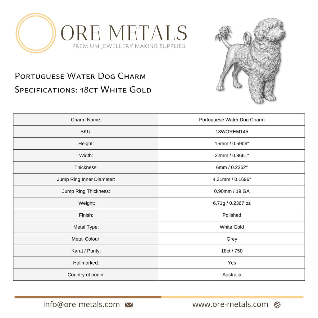 18ct White Gold - Portuguese Water Dog Charm