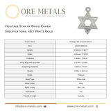18ct White Gold - Heritage Star of David Charm
