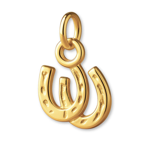 9ct Yellow Gold - Double Horseshoe Charm