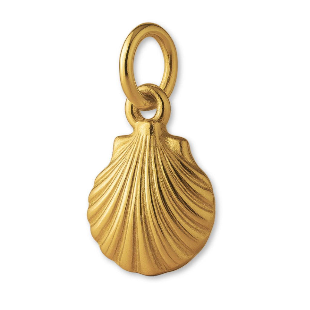 9ct Yellow Gold - Clam Cockle Shell Charm