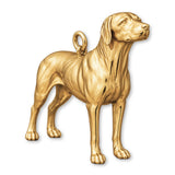 9ct Yellow Gold - Rhodesian Ridgeback Dog Charm