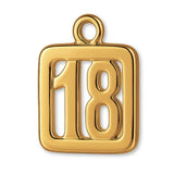 18ct Yellow Gold - 18 Pendant Charm