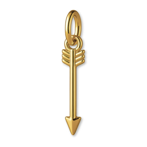 9ct Yellow Gold - Feathered Arrow Charm