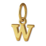 9ct Yellow Gold - Petite Letter Charm