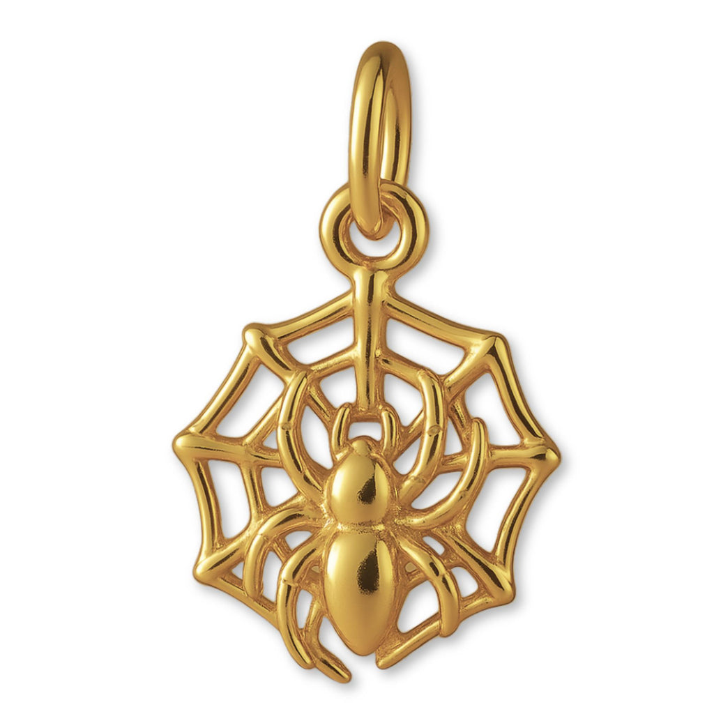 9ct Yellow Gold - Spider Web Charm