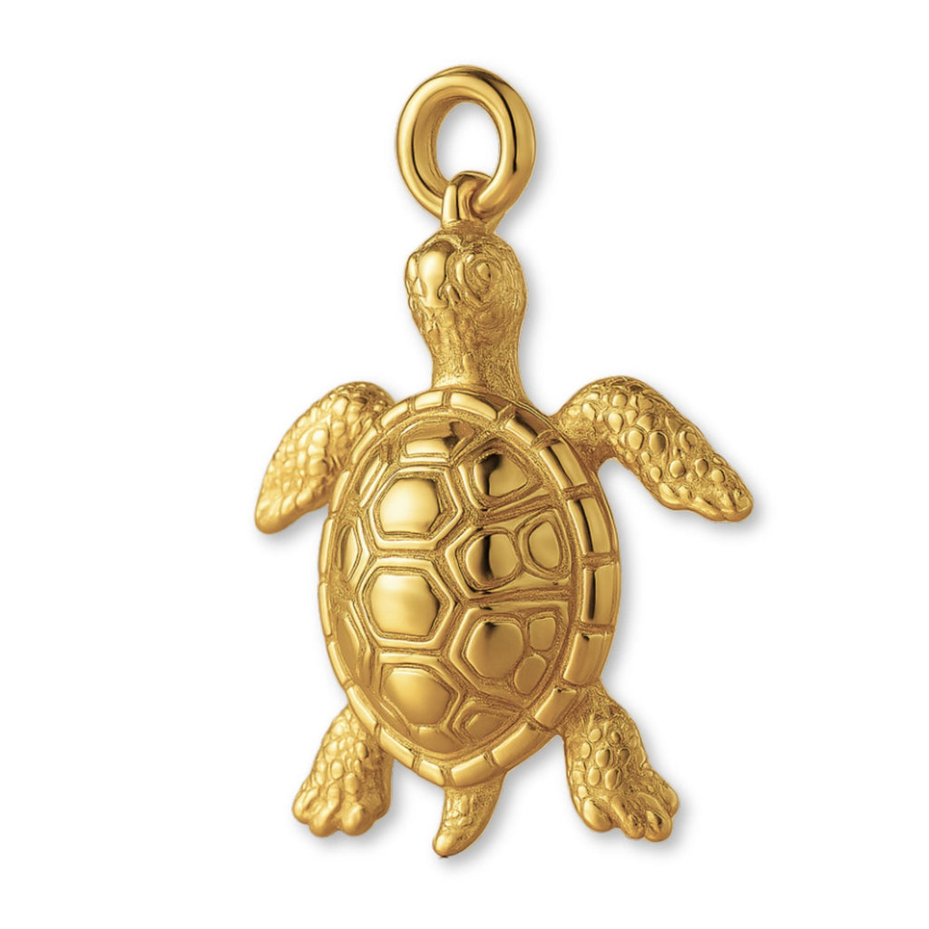 9ct Yellow Gold - Tropical Sea Turtle Charm