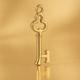 9ct Yellow Gold - Clover 1 Key Charm