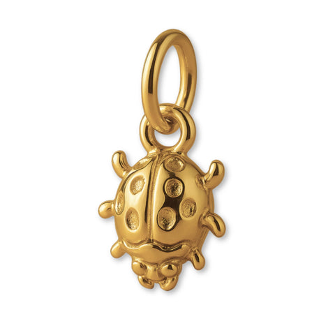 18ct Yellow Gold - Spotted Ladybug Charm