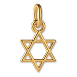 14ct Gold Plated - Mini Star of David Charm