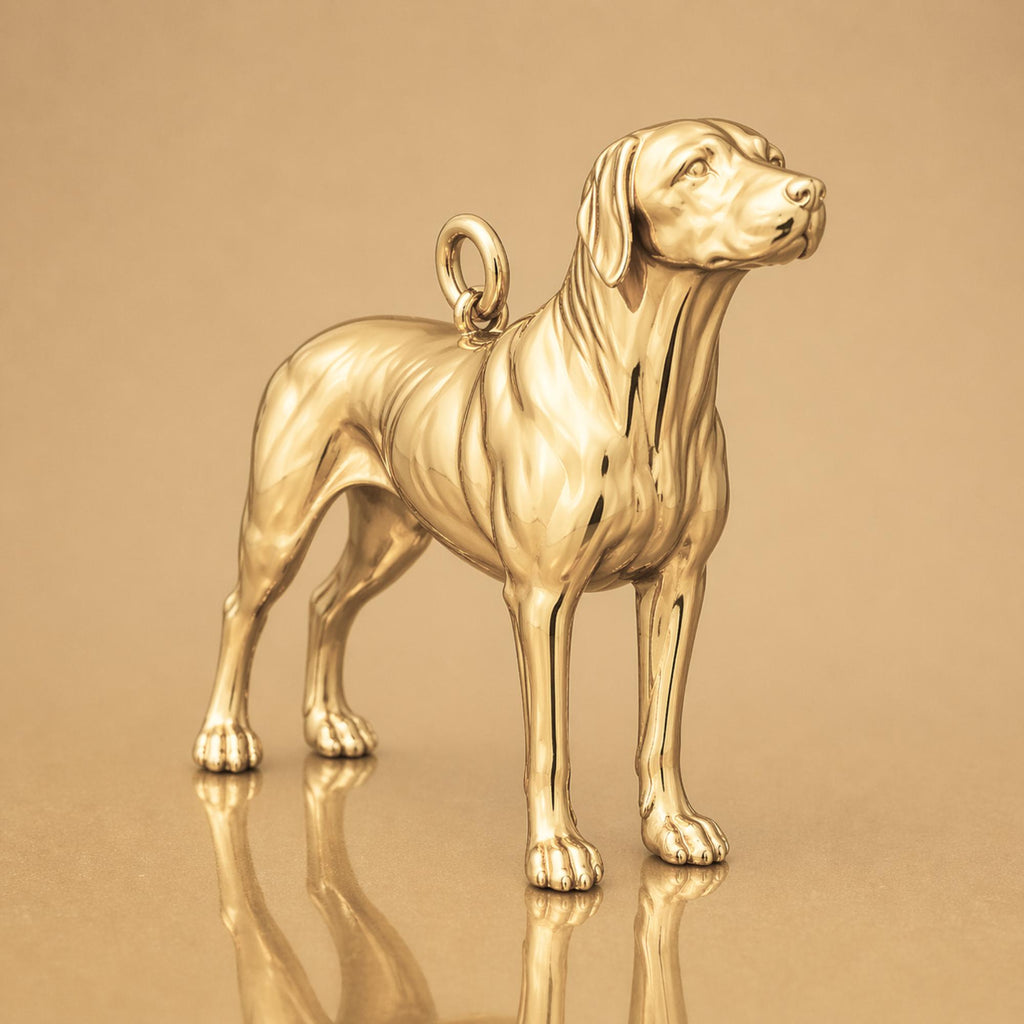 14ct Gold Plated - Rhodesian Ridgeback Dog Charm