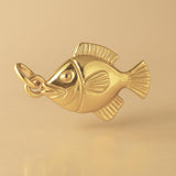 14ct Gold Plated - Tropical Tang Fish Charm