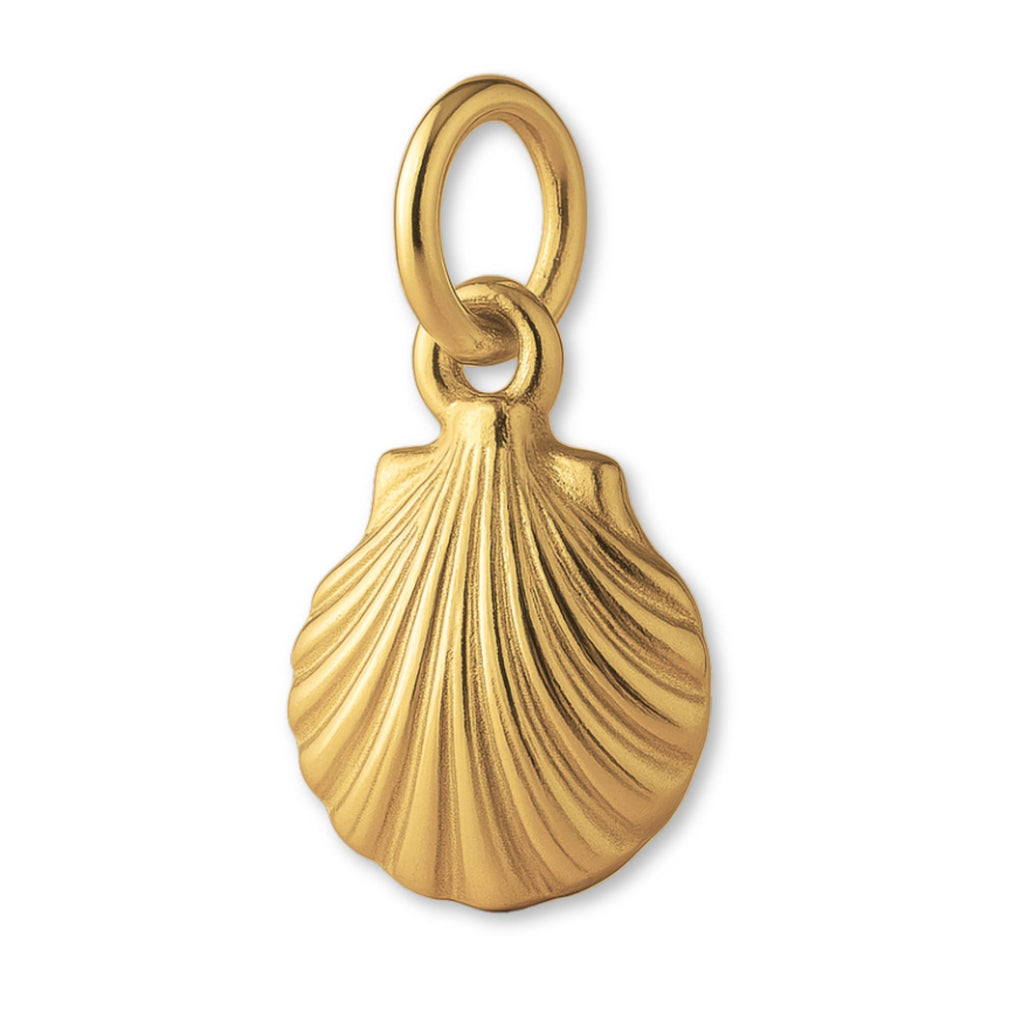 14ct Gold Plated - Clam Cockle Shell Charm