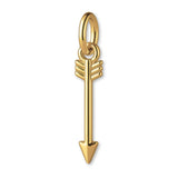 14ct Gold Plated - Feathered Arrow Charm