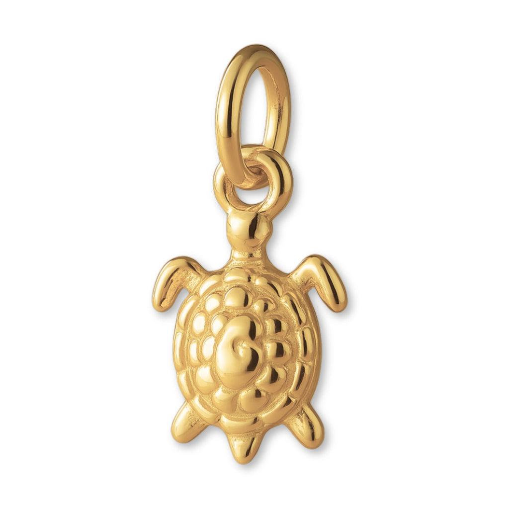 14ct Gold Plated - Reef Turtle Charm