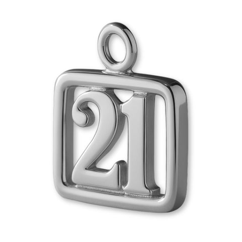950 Platinum - 21 Pendant Charm