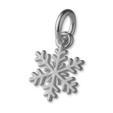 950 Platinum - Delicate Snowflake Charm