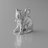950 Platinum - House Cat Charm