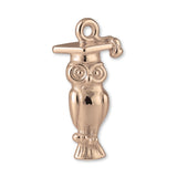 9ct Rose Gold - Graduation Owl Charm