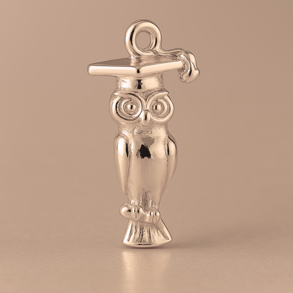 9ct Rose Gold - Graduation Owl Charm