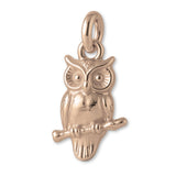 9ct Rose Gold - Great Horned Owl Charm