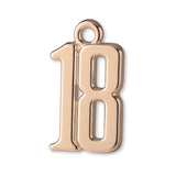 9ct Rose Gold - 18 Monogram Charm