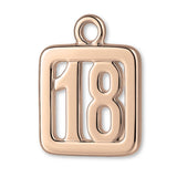 9ct Rose Gold - 18 Pendant Charm