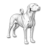 940 Argentium Silver - Rhodesian Ridgeback Dog Charm