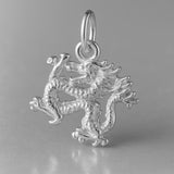 9ct White Gold - Oriental Dragon Charm
