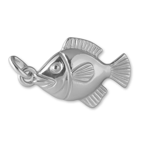 9ct White Gold - Tropical Tang Fish Charm